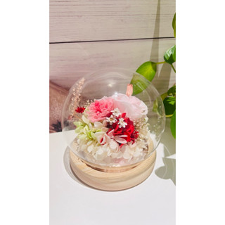 彤媽手作坊 ［母親節限定款］永生花玻璃罩小夜燈 ｜日本進口康乃馨 玫瑰花 繡球花｜母親節禮物