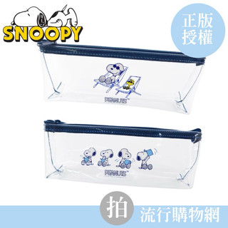 台灣現貨 史努比 透明大三角筆袋 三角筆袋 透明筆袋 三角透明包 化妝包 筆袋 snoopy 透明三角包