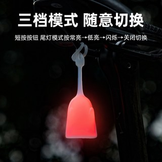 ROCKBROS洛克兄弟旗艦店 自行車尾燈 充電燈 騎行燈 警示燈 夜騎燈 公路車 山地車 個性幽靈燈
