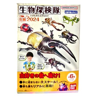 臺北芃芃玩具 日版 盒玩 BANDAI萬代 生物探險隊 蟲篇甲蟲 獨角仙 鍬形蟲91656