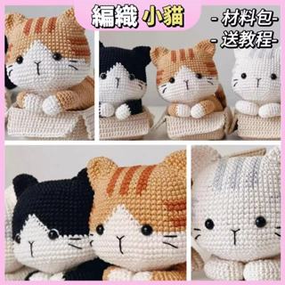 【醜小鴨】貓咪玩偶 DIY編織材料包 包教會 送教學影片 揣手手小貓咪 可愛禮物 擺件 玩偶 鉤針織毛線貓咪