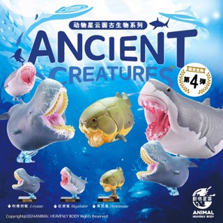 【MOVE】 (現貨) 動物星球 圓古生物 第四彈 巨齒鯊 利維坦鯨 鄧氏魚 模型 公仔 盒玩 手辦