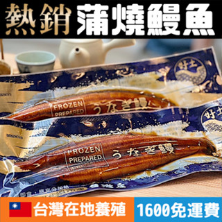 現貨+發票🔥即買享折扣🔥鰻魚 蒲燒鰻 蒲燒鰻魚 浦燒鰻 紅燒鰻 鰻 浦燒鰻魚 鰻魚禮盒 鰻魚飯 白鰻 日本鰻
