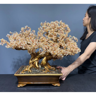 【66藝品】開運水晶樹【黃水晶發財樹】金錢樹 水晶樹 招財樹 搖錢樹 盆栽樹 和樂生財 財源廣進 金玉滿堂 五行風