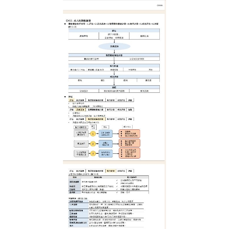 聽能復健學筆記電子檔&國考題整理/聽語研究所/語言治療師國考/聽語轉學考