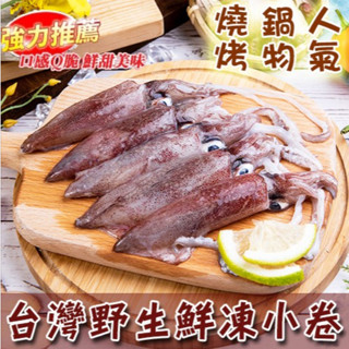 【八兩排】船凍臺灣野生鮮凍小卷 約5-7隻/盒 大卷 小卷