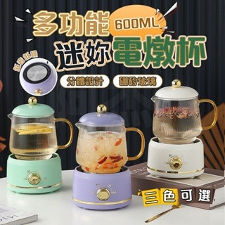 【110V❤贈湯勺和禮盒】電燉杯 養生杯 養生壺 花茶壺 養生杯 電熱杯 保溫加熱燒水杯 熱奶神器600ML