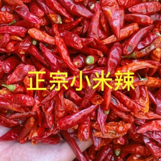 「附發票」正宗小米辣椒500g 小米辣椒粉 乾辣椒 小米辣 小米辣椒 辣椒粉 小米椒 辣椒乾 辣椒粉 辣椒麵 辛香料
