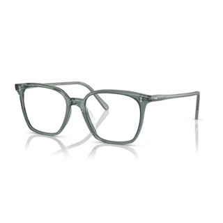 【日日眼鏡】OLIVER PEOPLES 鏡框 鏡架 膠框 板材 亞規 亞洲版 OV5488U 5488 Rasey