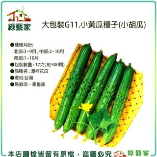 【綠藝家】大包裝G11.小黃瓜種子(小胡瓜)17克( 約500顆) 品種名:潭梓花瓜 雌花多，早生，瓜形直，產量豐