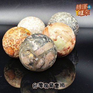 【臺灣現貨】豹紋石 龍宮 靈骨 珊瑚 財寶 貝殼 化石 舍利 球 擺件 求財 事業 礦石 靈修 開運 招財 破煞 防小人