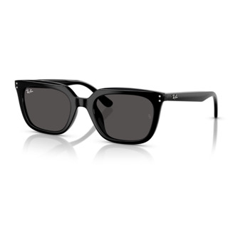Ray Ban 雷朋 太陽眼鏡 RB4439D 901/87(黑) 墨鏡 直營公司貨【原作眼鏡】