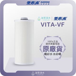 【原廠公司貨】愛惠浦 VITA VF 濾心 (濾芯 愛惠浦濾心 愛惠浦濾芯 濾水器 淨水器 愛惠普 淨水器濾心 活性碳)