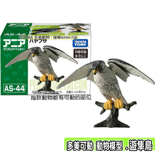 【HAHA小站】全新 正版 AN90559 AS-44 遊隼鳥 ANIA 多美動物 可動 動物模型 動物認知 兒童玩具