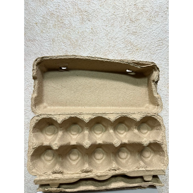 環保雞蛋紙盒 硬質 原色 牛皮紙顏色  10顆裝 雞蛋盒 紙盒 雞蛋紙盒 包裝材 10入 現貨 標準蛋 10顆平面蛋盒
