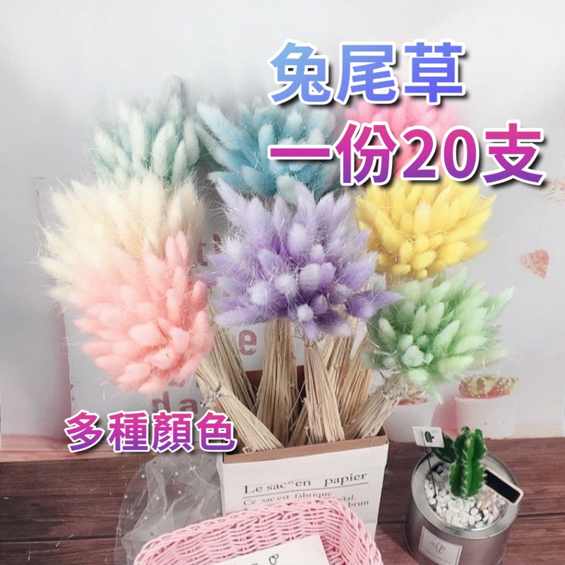 現貨🔺兔尾草 花束 乾燥花 永生花 乾燥花花束 拍照道具背景 店內裝飾 生日禮物 情人節禮物 居家佈置