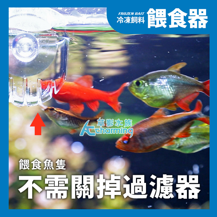 【AC草影】壓克力 豐年蝦 紅蟲杯（1+1套組）【一組】 自動餵食器  冷凍飼料 紅蟲 餵食器 魚蝦餵食 赤蟲餵食