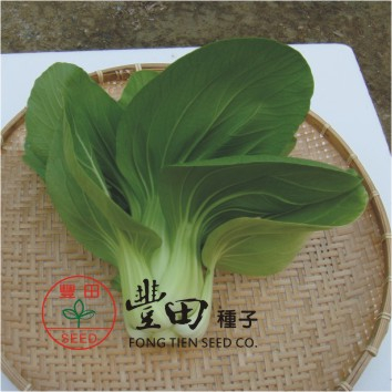 青江菜白菜 日本品種一代交配 華王2號清江白菜