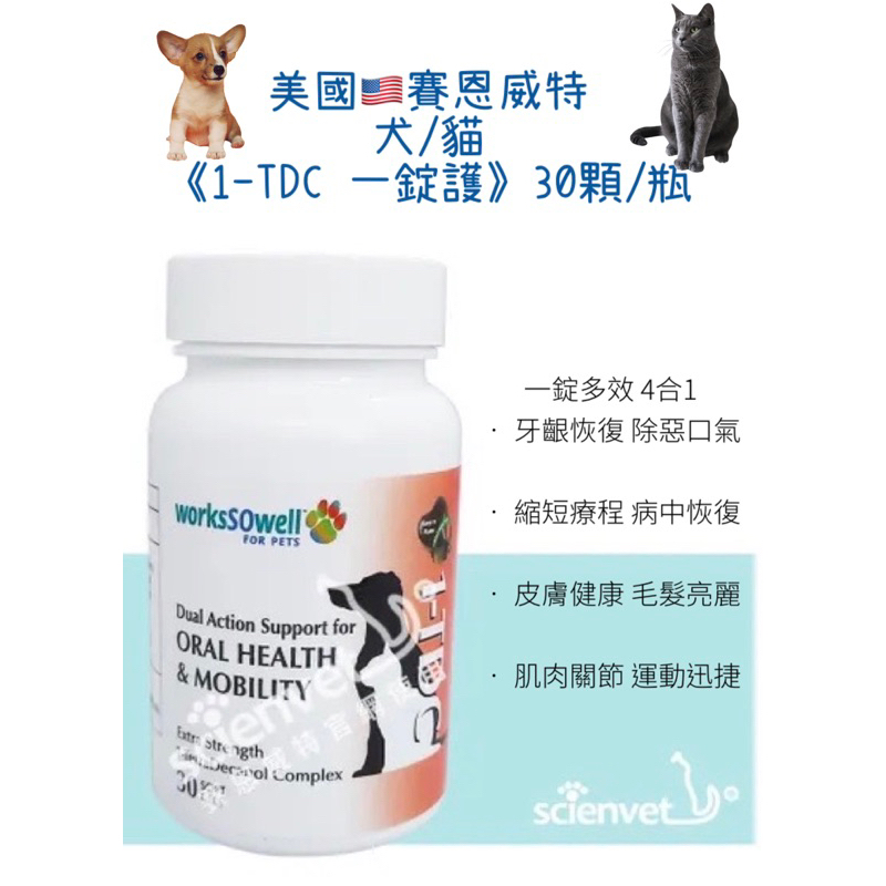 一錠護1-TDC的價格推薦- 2023年11月| 比價比個夠BigGo