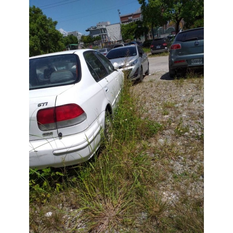 花蓮市喜美二手老車歡迎看車