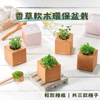 Green Pandora 環保香草盆栽軟木盆栽 環保盆栽 種子盆栽 香草植物 室內盆栽 辦公室植物 薄荷植物