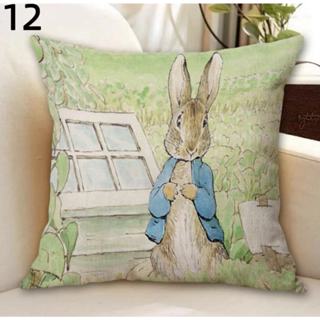 臺灣現貨 Peter Rabbit 比得兔 彼得兔 立兔 抱枕 45x45cm 11款