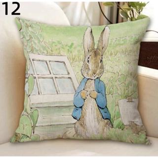 台灣現貨 Peter Rabbit 比得兔 彼得兔 立兔 抱枕 45x45cm 11款