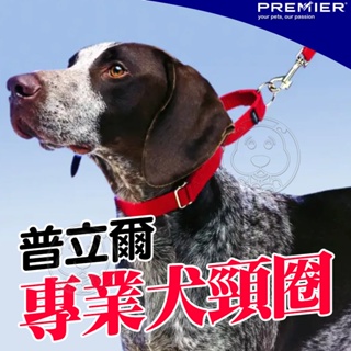 三重出清🚀美國普立爾PREMIER《犬用》專業頸圈 寵物頸圈 項圈 牽繩 外出頸圈