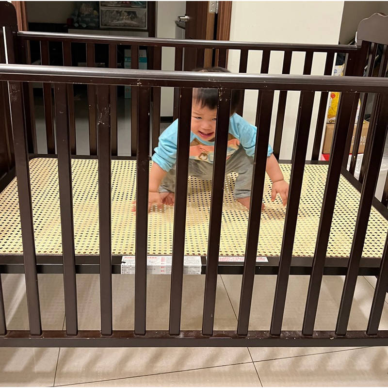 （二手）（台中自取）Joyful Baby嬰兒車/成長型側板（已拆）-送床圍+被子