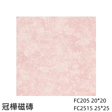 🏆《冠樺磁磚》 粉色 25*25、20*20 復古  #地磚、瓷磚tile、修補DIY、防滑止滑、建材