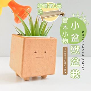 [臺灣設計 快速出貨] 花盆 花器 小盆獸 造型花器 盆栽 童心木 交換禮物 生日禮物 多肉 植物 室內小盆栽