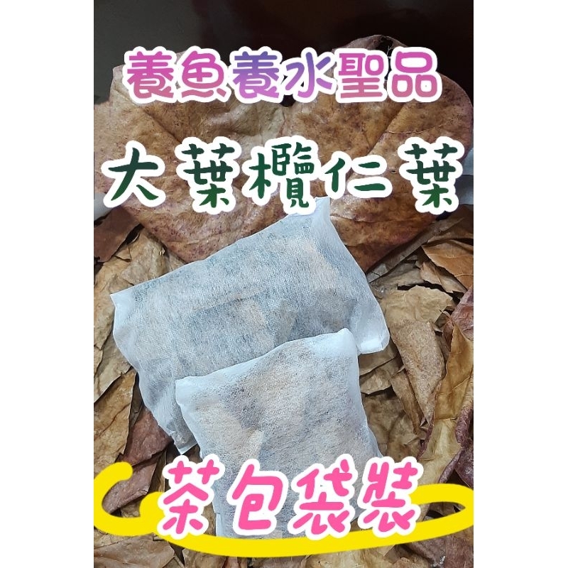 水族 養魚 養水聖品  💕現貨 💕 季節性商品 茶包袋裝 方便浸泡 清理 大葉欖仁葉  自然掉落 天然乾燥