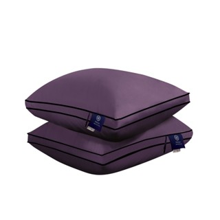 【Hilton希爾頓】國際精品面料100%萊賽爾60支紗極度沉睡枕(B0117-L)
