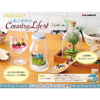 日本 RE-MENT 憧憬的鄉村生活 Country Life 盒玩盲盒 中盒 模型 瓶中造型 正版