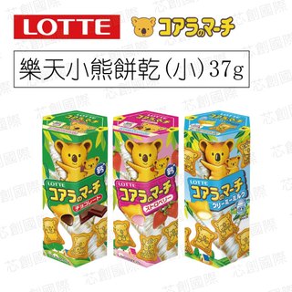 LOTTE樂天小熊餅乾 巧克力/草莓/牛奶 37G
