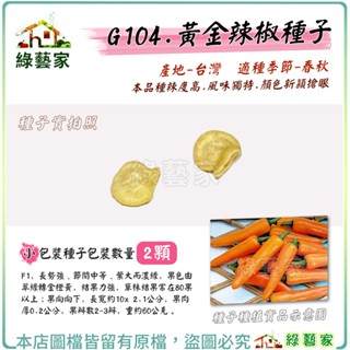 【綠藝家】G104.黃金辣椒種子2顆(F1) 長勢強、節間中等、葉大濃綠，結果力強