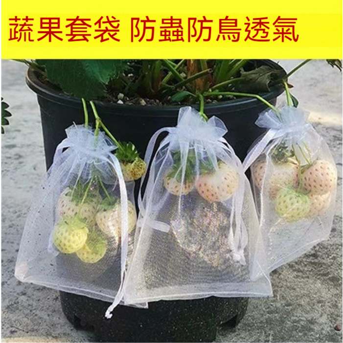 ❥(^_-)蔬菜水果套袋 水果網袋透氣 番茄藍莓葡萄無花果防蟲鳥果實保護袋 防鳥罩❤
