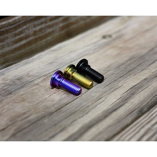 [鈦合金螺絲] M8 1.25 階級型 M8/24MM 碟盤螺絲 鈦合金碟盤螺絲 碟盤 螺絲 鈦螺絲 M8*24L 階級