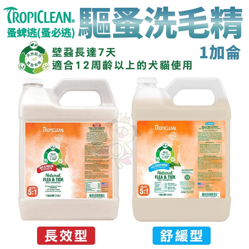 TROPICLEAN蚤蜱逃(蚤必逃) 驅蚤洗毛精1加侖 長效型/舒緩型 12周以上犬貓適用 ♡犬貓大集合♥️