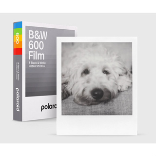 寶麗來 Color 600 B&W 黑白彩框 拍立得底片 polaroid now onestep+
