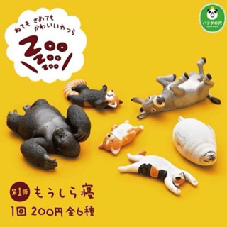 休眠動物園 日版 熊貓之穴 治癒系 ZOO 休眠動物園 療癒系 休眠動物 模型 轉蛋 睡覺動物