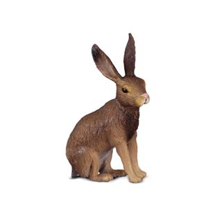 COLLECTA動物模型 - 野兔