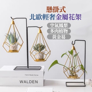 【草葉日和 x 新品上市】花架 花器 花瓶 懸掛式 北歐輕奢金屬花架 玻璃花瓶 空氣鳳梨支架 空氣鳳梨架 空氣鳳梨花架