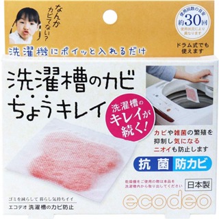【鴨子日本倉庫】現貨！！日本洗衣機抗菌除臭片 洗衣槽清潔 24g