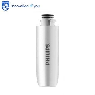 PHILIPS 飛利浦 智能馬桶便座 免治馬桶座專用配件 / 濾心 適用型號 : AIB2206 / AIB2205