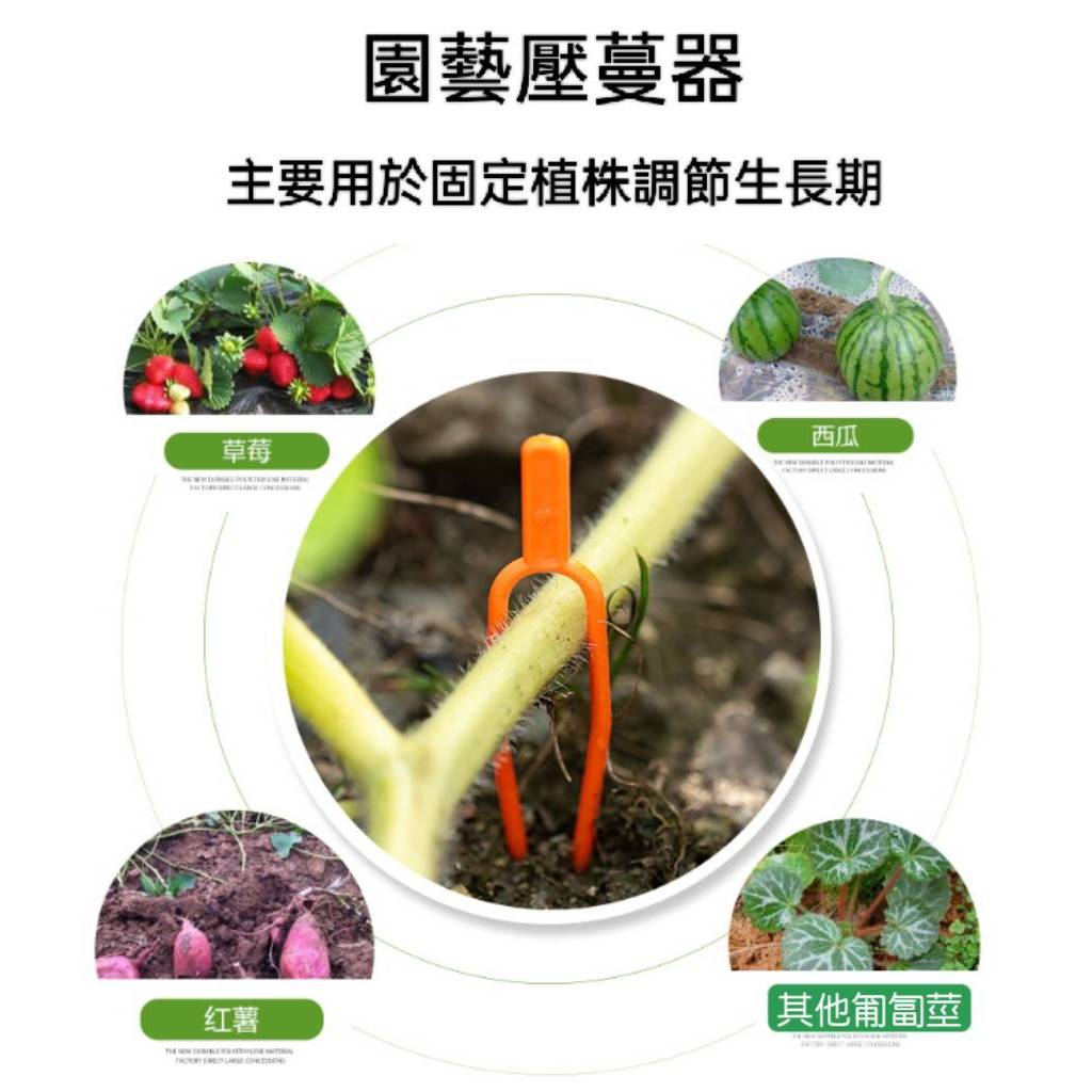 現貨 植物藤蔓種植叉50入 草莓固定叉 匍匐莖固定器 瓜果壓蔓器 壓苗叉 走莖固定叉 定苗叉【A-16040】全盛