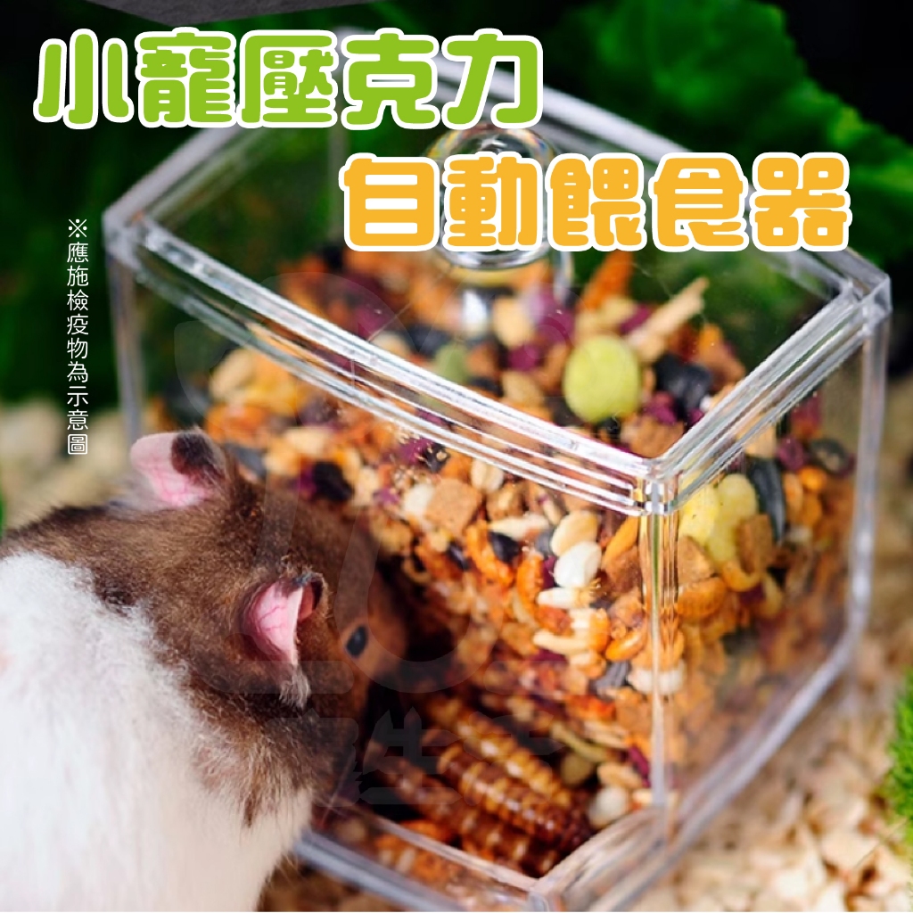 壓克力自動餵食器 倉鼠餵食盒 小寵食盆 倉鼠碗 蜜袋鼯/兔子/刺蝟/倉鼠/黃金鼠 壓克力碗 小寵碗