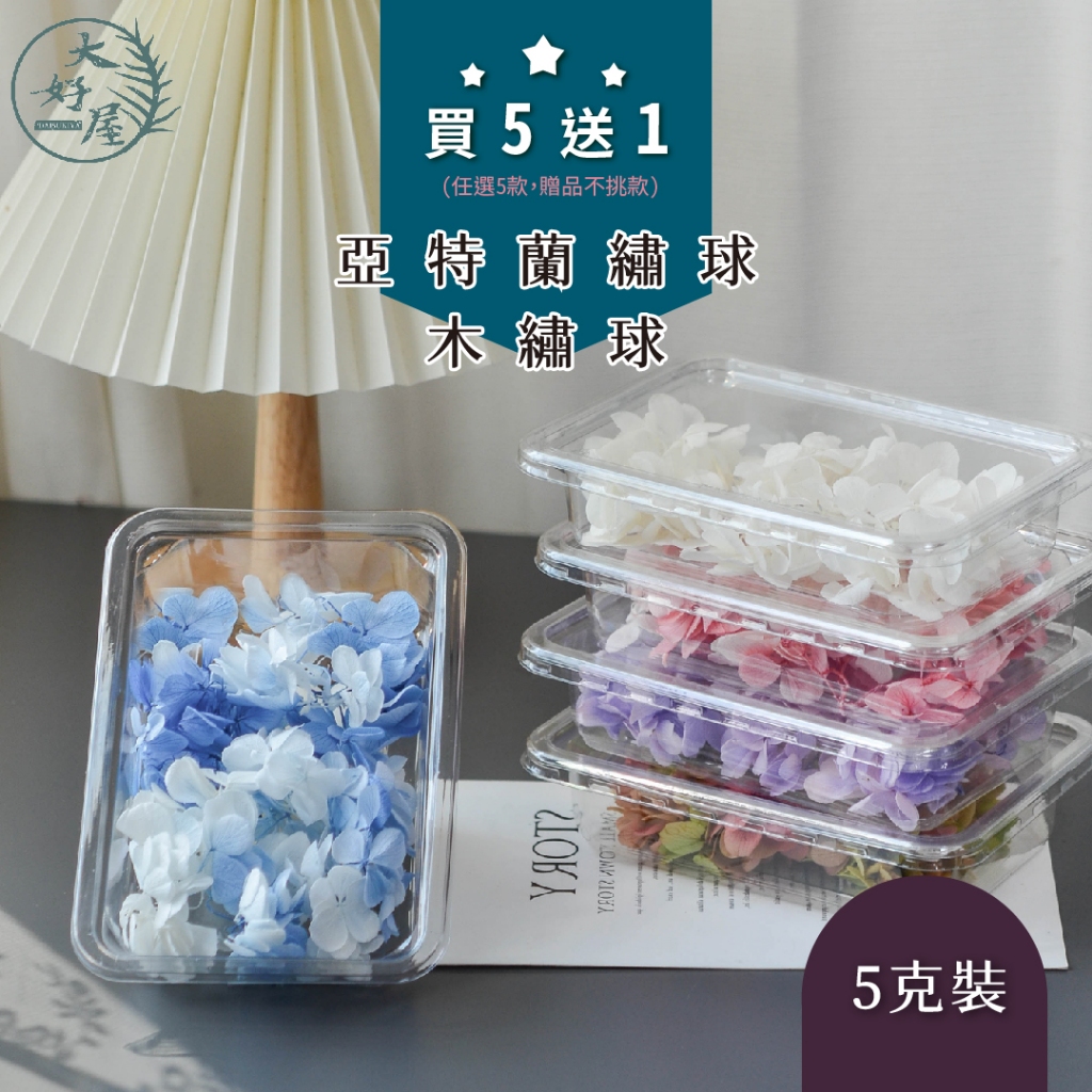 大好屋 現貨 繡球花 木繡球 繡球 DIY花材 永生花 日本高品 5克盒裝 買5送1 亞特蘭繡球  永生不凋繡球