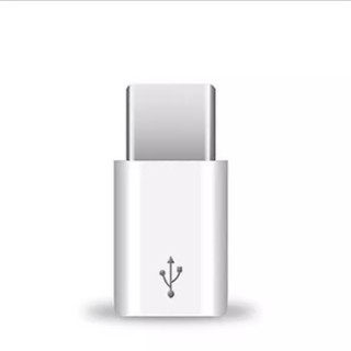 MICRO USB 轉TYPE-C 接頭 傳輸線 充電線 快速充電 轉換頭