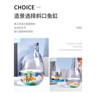 《新品上市》臺灣現貨/24h出貨/斜口花瓶/魚缸/生態瓶/苔癬瓶/恐龍/微景觀/造景缸/鬥魚缸/透明/玻璃瓶/裝飾瓶